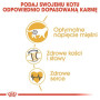 Корм для котів ROYAL CANIN British Shorthair 4 кг