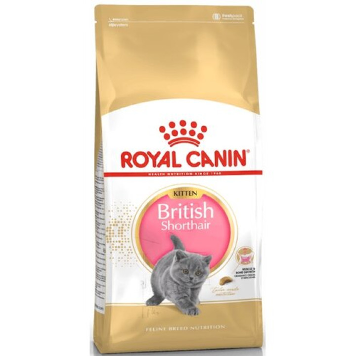 Корм для котів ROYAL CANIN FBN British Shorthair Kitten 10 кг