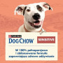 Корм для собак Purina Dog Chow Sensitive лосось 14 кг + 2.5 кг