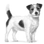 Корм для собак ROYAL CANIN Satiety Weight Management Small Dog 3 кг