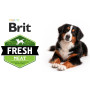 Корм для собак BRIT Fresh Puppy&Junior Large Bean з гарбузом 12 кг