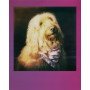 Фотопапір Polaroid Go Color Film 16 Gradient Frame