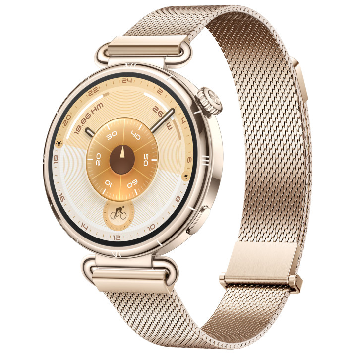 Смарт годинник Huawei Watch GT 6 Elegant 41mm (Konsu-B19M)