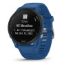 Спортивний годинник Garmin Forerunner 255 Tidal Blue (010-02641-11)