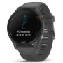 Спортивний годинник Garmin Forerunner 255 Slate Gray (010-02641-10)