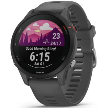 Спортивний годинник Garmin Forerunner 255 Slate Gray (010-02641-10)