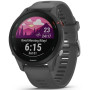 Спортивний годинник Garmin Forerunner 255 Slate Gray (010-02641-10)