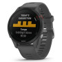 Спортивний годинник Garmin Forerunner 255 Slate Gray (010-02641-10)