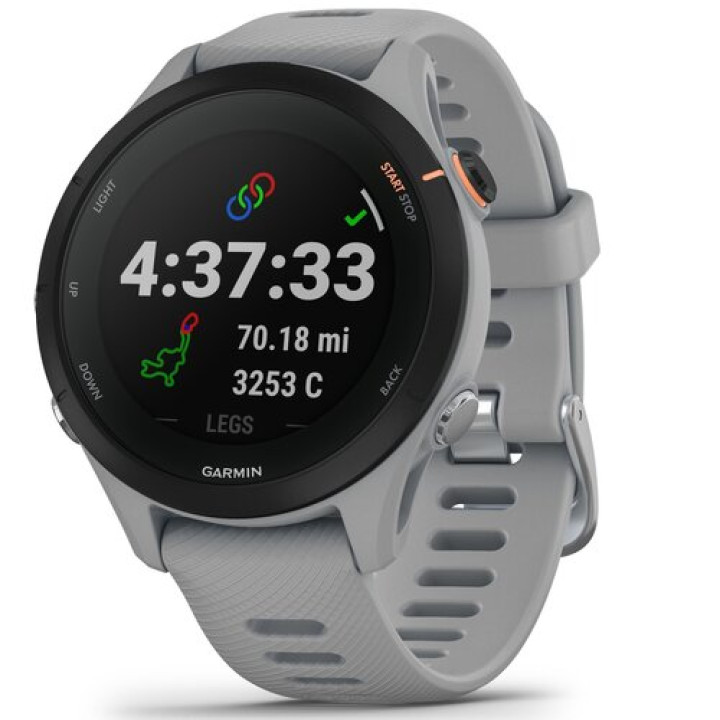 Спортивний годинник Garmin Forerunner 255S Powder Gray (010-02641-12)