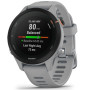 Спортивний годинник Garmin Forerunner 255S Powder Gray (010-02641-12)